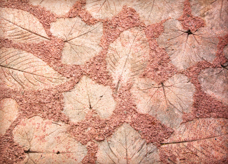 marks of leaf on the concrete pavement.の写真素材
