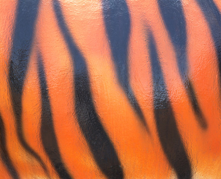 Tiger cement wall abstract orange background blackの写真素材