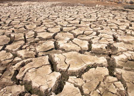 Drought breaks ground fissures of the ground.