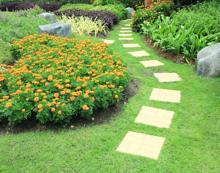 Flower garden park outdoor nature abstract background.の写真素材
