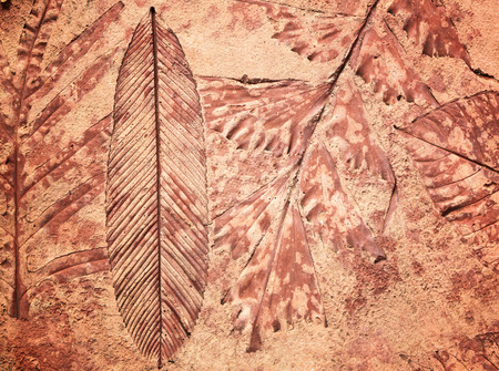 marks of leaf on the concrete pavement.の写真素材