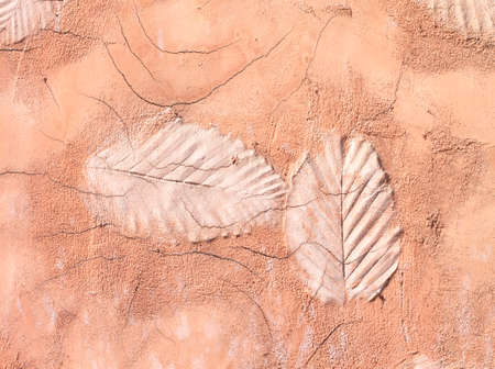 Leaf shape cement floor wall background texture pattern.の写真素材