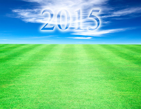 Lawn sky background year 2015. pattern background texture.