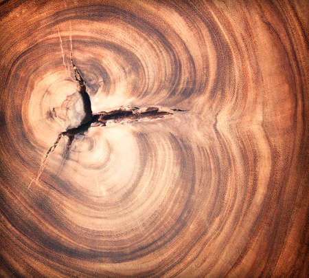 Cracked wood board brown texture の写真素材