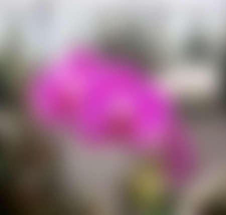 Blurred background texture of natural light.の写真素材