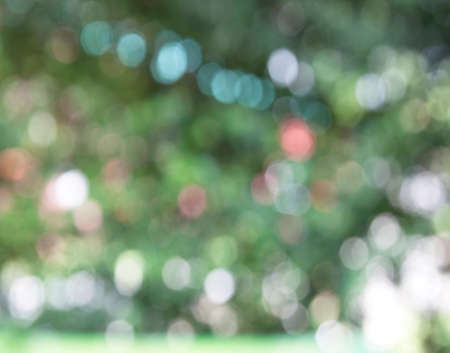 Abstract background blur bokeh of natural light.の写真素材