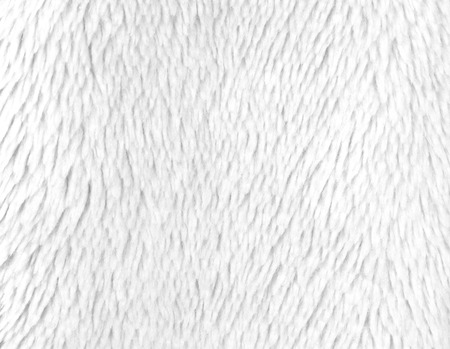 fleece fabric background textured pattern background. clothesの写真素材