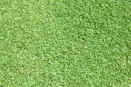 Golf Courses green lawn outdoor nature Background textureの写真素材