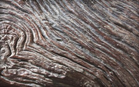 Background texture Old wood of the tree