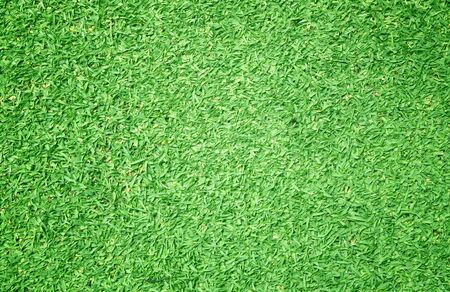 Golf Courses green lawn pattern textured background.の写真素材