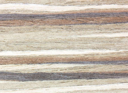 Texture of wood background close up background pattern.