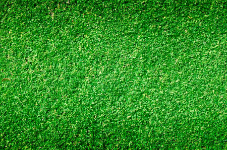 Green grass background turf grass surface abstract.の写真素材