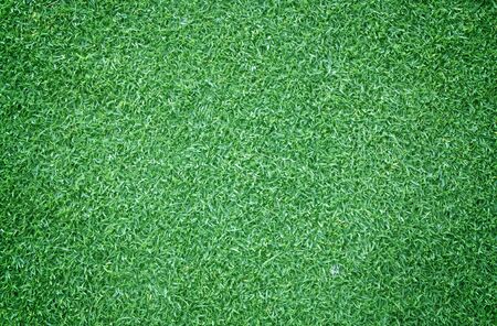 Green grass background turf grass surface abstract.の写真素材