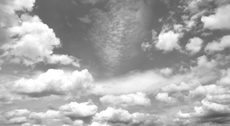 Sky black and white the background nature.