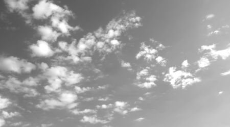 Sky black and white the background nature.
