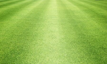 grass background Golf Courses green lawn pattern textured background.の写真素材