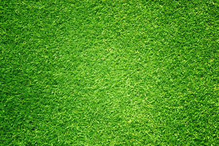 Natural background of green grass Small grass football groundの写真素材
