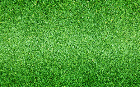 Grass green field football Beautiful natural background pattern.の写真素材