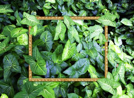 Creative layout made from flowers and leaves with antique gold frame