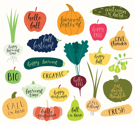 Big autumn harvest set with hand written calligraphy lettering quotes in fruits and vegetables. Isolated objects on white background. Vector illustration. Flat style design. Concept fall, Thanksgivingのイラスト素材