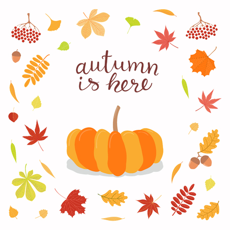 Hand drawn vector illustration with pumpkin, frame of leaves, lettering quote Autumn is here. Isolated objects on white background. Flat style design. Concept for seasonal banner, poster, card.のイラスト素材