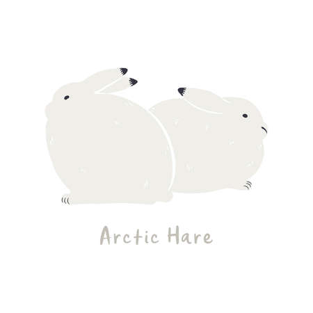 Cute cartoon arctic hares, isolated on white. Hand drawn vector illustration. Winter animal character. Arctic wildlife, nature. Design concept kids fashion, textile print, poster, card, baby shower.のイラスト素材