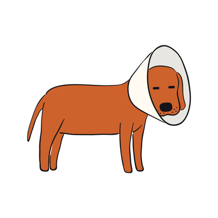 Cute cartoon dog, puppy wearing cone funny character illustration. Hand drawn vector, isolated. Line drawing. Domestic animal logo. Design concept for pet food, branding, business, vet, print, posterのイラスト素材