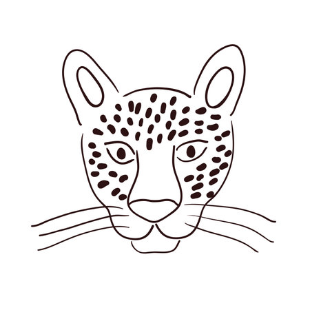 Cute leopard face, portrait hand drawn cartoon character illustration, sketch. Line art, drawing style design, isolated vector. Tropical animal, jungle wildlife, big cat, safari, nature, print elementのイラスト素材