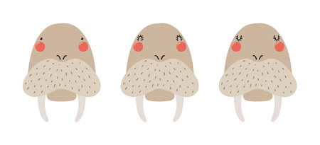 Cute funny walrus faces illustrations set. Hand drawn cartoon character. Scandinavian style flat design, isolated vector. Kids print element, poster, card, wildlife, nature, baby animalsのイラスト素材