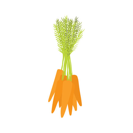 Bunch of carrots hand drawn illustration. Cartoon style flat design, isolated vector. Summer, autumn print element, farming, gardening, harvest, agriculture, healthy food, vegetarian diet, ingredientのイラスト素材