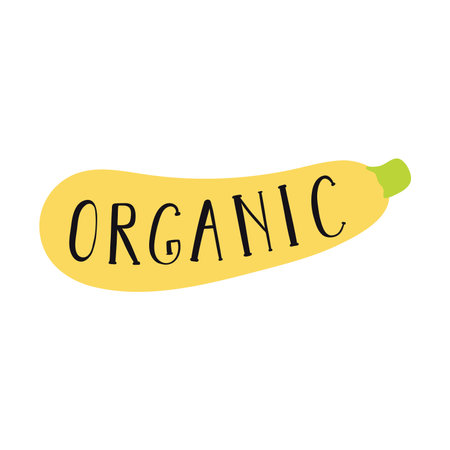 Organic handwritten typography quote, lettering, summer squash, zucchini hand drawn illustration. Flat style design, isolated vector. Summer, autumn print element, sticker, badge, farming harvestのイラスト素材