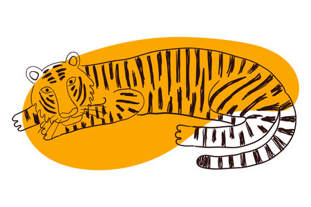 Cute tiger laying down hand drawn cartoon character illustration, sketch. Line art, drawing style design, isolated vector. Tropical animal, jungle wildlife, big cats, safari, nature, print elementのイラスト素材