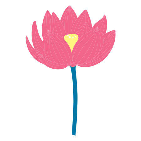 Lotus, water lily flower hand drawn illustration. Line art, drawing style design, isolated vector. Mid Autumn Festival floral, botanical element, beautiful Asian flora, blossom, bloom, plantのイラスト素材