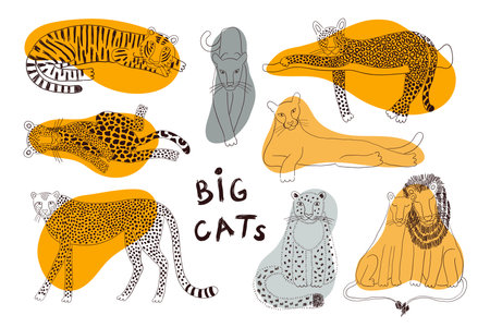 Big cats isolated collection, abstract shapes. Lion, tiger, leopard, jaguar, panther, cougar, cheetah. Hand drawn vector illustration. Line art style design. Animal characters, wildlife elementsのイラスト素材