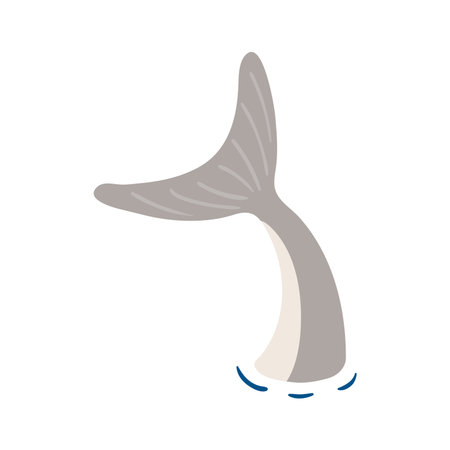 Shark tail hand drawn illustration. Cartoon style flat design, isolated vector. Kids summer print, seasonal element, holidays, vacations, beach, marine life, aquatic animal, ocean landscape elementのイラスト素材