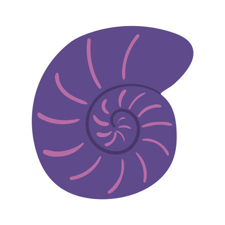 Nautilus, snail seashell hand drawn illustration. Cartoon style flat design, isolated vector. Kids summer print, seasonal element, holidays, vacations, beach, marine life, aquatic animalのイラスト素材