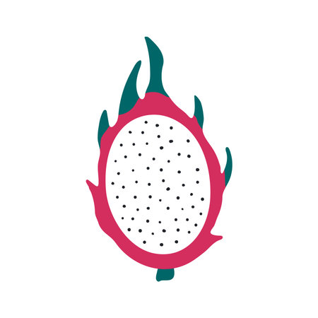 Tropical fruit dragon fruit hand drawn illustration. Cartoon style flat design, isolated vector. Summer food, exotic fruit, seasonal print, menu element, holidays, vacations, beach, pool partyのイラスト素材