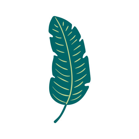 Tropical plant spathiphyllum leaf hand drawn illustration. Cartoon style flat design, isolated vector. Summer print, seasonal element, holidays, vacations, beach, jungle flora, exotic foliageのイラスト素材