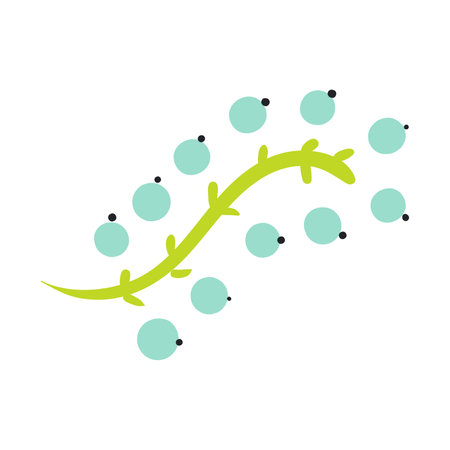 Branch with berries hand drawn illustration. Flat cartoon style design, isolated vector. Tropical blossom, exotic bloom, rainforest plant, jungle flora, botanical, floral elementのイラスト素材