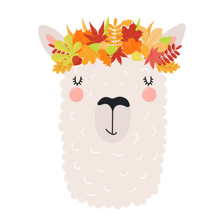 Cute llama in autumn leaves crown character illustration. Hand drawn animal, Scandinavian style flat design, isolated vector. Kids autumn, fall print, element, seasonal activityのイラスト素材