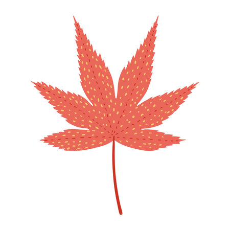 Momiji, maple tree leaf in autumn hand drawn illustration. Cartoon style flat design, isolated vector. Kids autumn, fall print, seasonal plant element, woodland, park, outdoors, natureのイラスト素材