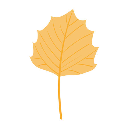 Aspen tree leaf in autumn hand drawn illustration. Cartoon style flat design, isolated vector. Kids autumn, fall print, seasonal plant element, woodland, park, outdoors, natureのイラスト素材