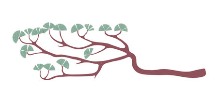 Pine tree branch illustration. Hand drawn cartoon vector, isolated. Flat style design. Traditional Asian holiday Lunar New Year botanical element. Korean symbol, national plantのイラスト素材