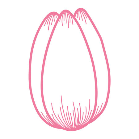 Tulip flower head outline, hand drawn line art illustration. Spring blossom, pink bloom, floral element. Vector design, isolated. Mothers Day, Easter, seasonal, botanical clip artのイラスト素材