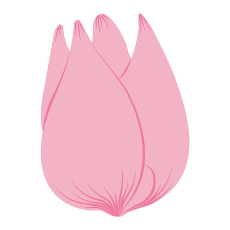 Tulip flower head hand drawn flat illustration. Spring blossom, pink bloom, floral element. Vector design, isolated. Mothers Day, Easter, seasonal, botanical clip artのイラスト素材