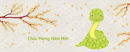2025 Lunar New Year Tet cute snake, yellow apricot blossoms, Vietnamese text Happy New Year. Hand drawn vector illustration. Flat style design. Holiday card, poster, banner conceptのイラスト素材