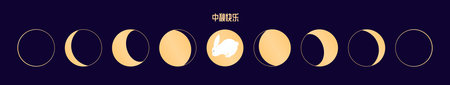 Lunar, moon phases, cute rabbit, bunny Chinese text Mid Autumn Festival, gold elements on blue. Flat vector illustration. Cartoon character. Traditional holiday design, seasonal banner, cardのイラスト素材