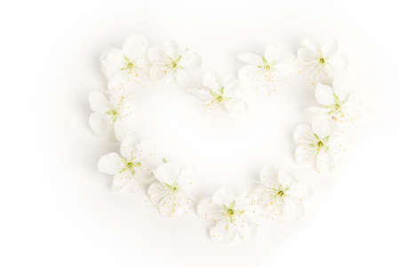 Blossoming heart on a white backgroundの写真素材