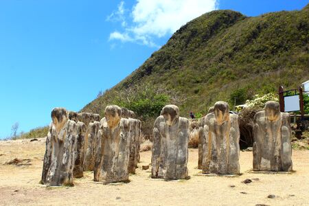memorial of the cockroach handle the martinique diamondの写真素材