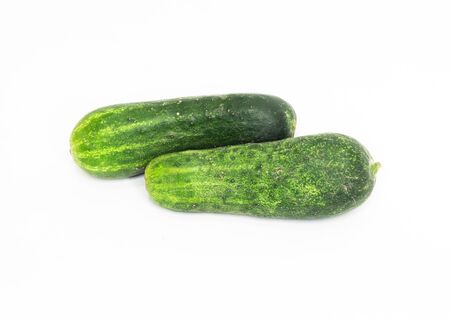 Two cucumbers の写真素材